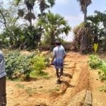Lemon field visit B chinaiah Dadishettivari palli