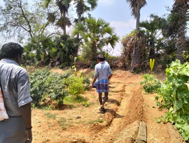 Lemon field visit B chinaiah Dadishettivari palli