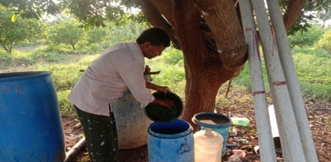Dhravajivamrutham preparation of paluru A.V Raju
