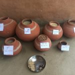 Household level seed storage in claypot
