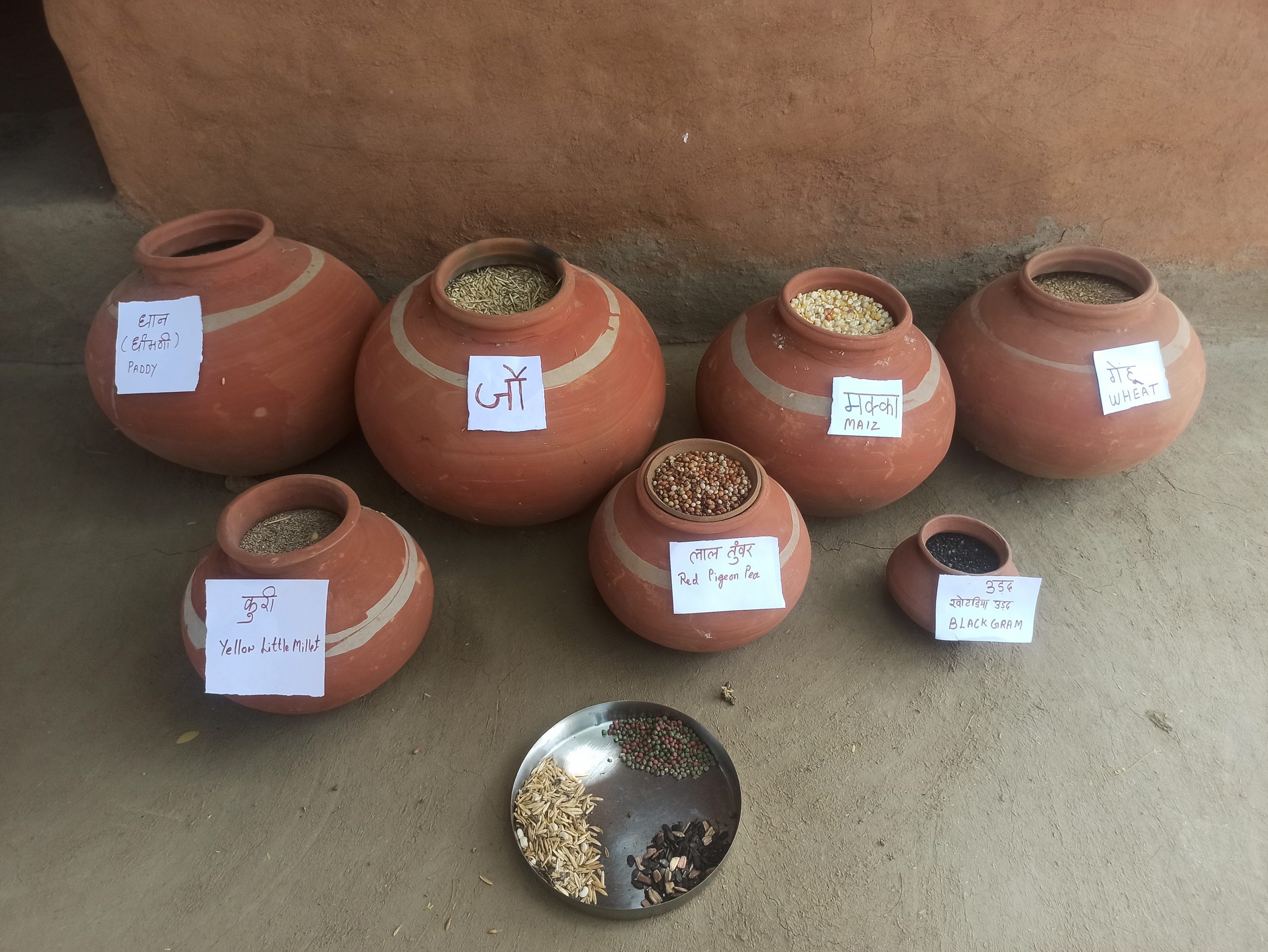 Household level seed storage in claypot