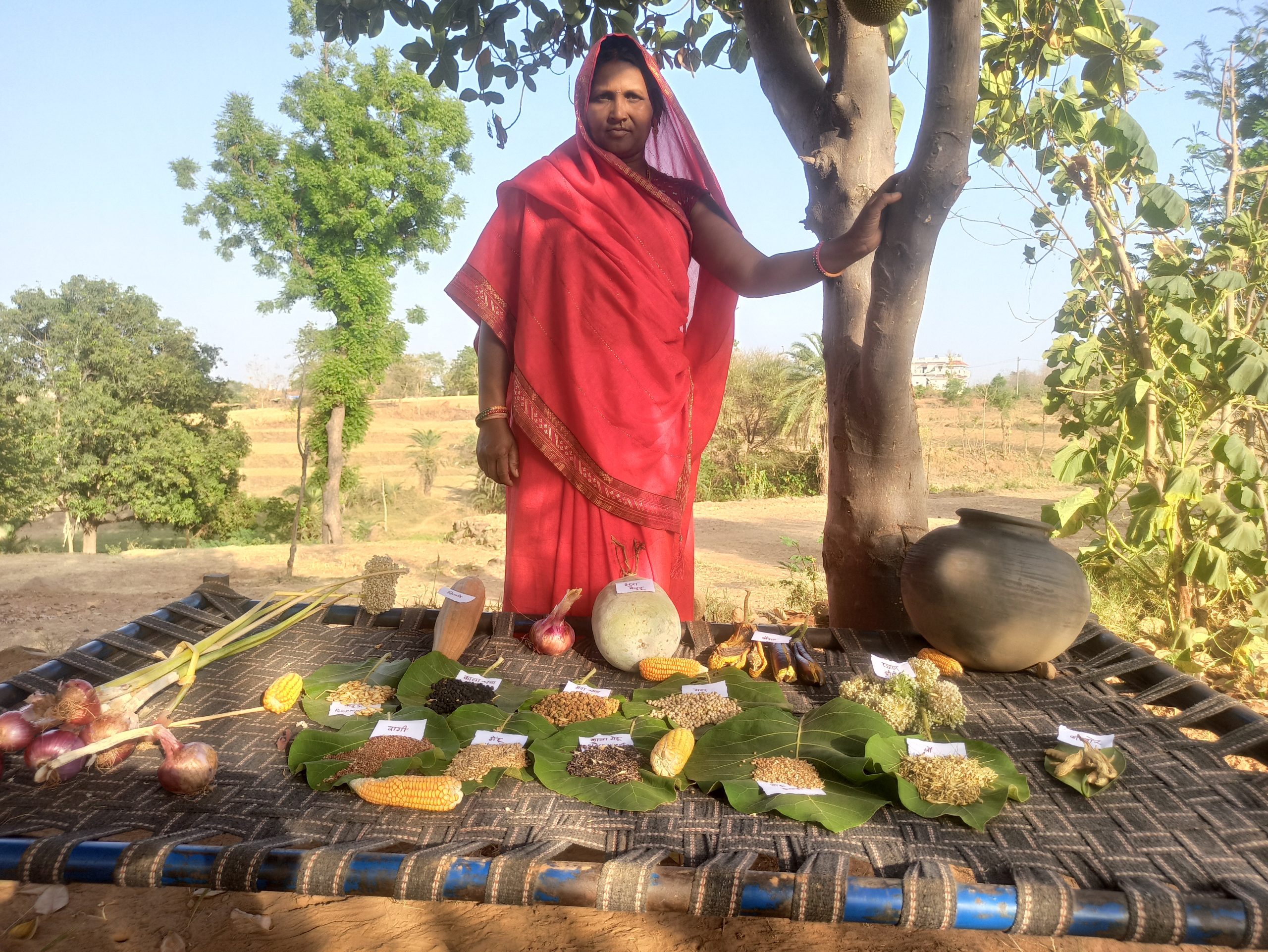 Saksham samuh member Ilaben showing Seed diversity